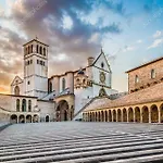 Cherihomeassisi *
