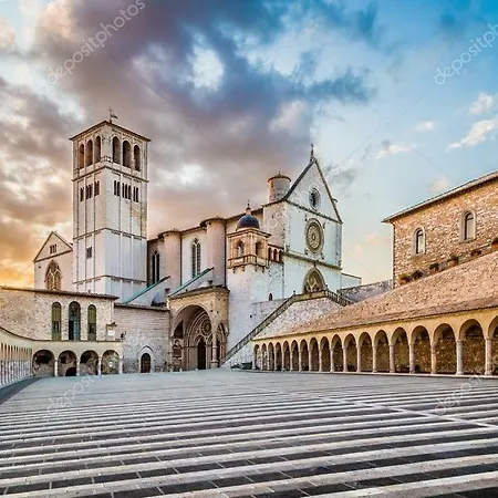 Cherihomeassisi *